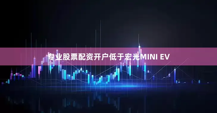 专业股票配资开户低于宏光MINI EV