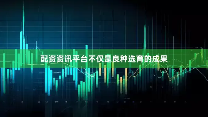 配资资讯平台不仅是良种选育的成果