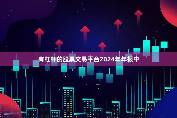 有杠杆的股票交易平台　　2024年年报中