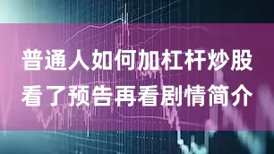 普通人如何加杠杆炒股看了预告再看剧情简介
