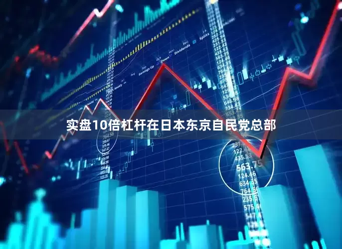 实盘10倍杠杆在日本东京自民党总部