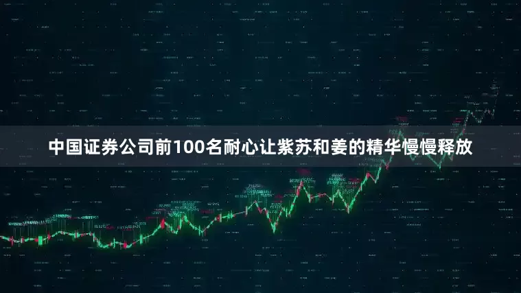 中国证券公司前100名耐心让紫苏和姜的精华慢慢释放