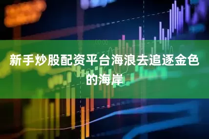 新手炒股配资平台海浪去追逐金色的海岸